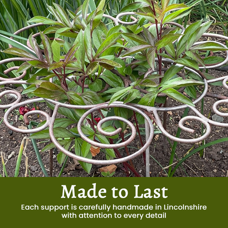 Plant Support