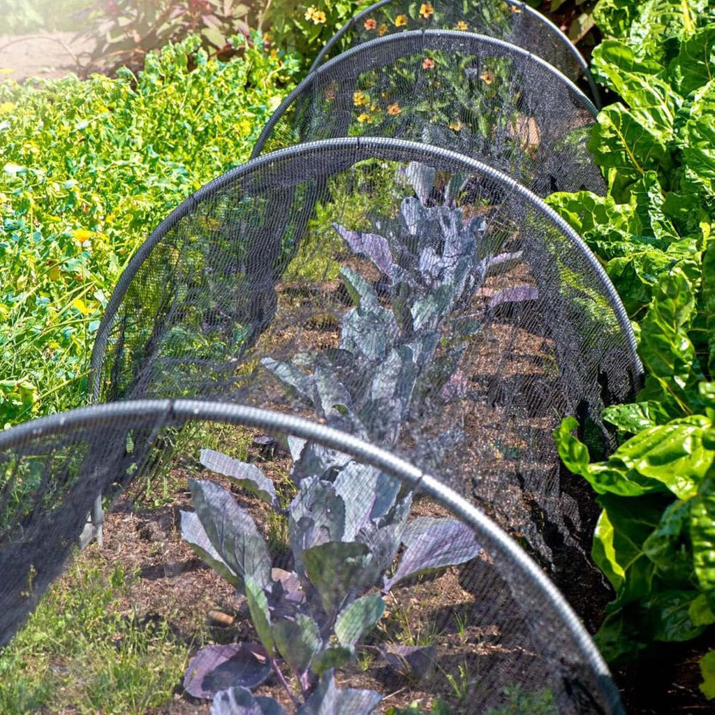 Summer Garden Must-Have ☀️ Bird & Insect Protection Net for Plants, Balconies & Patios