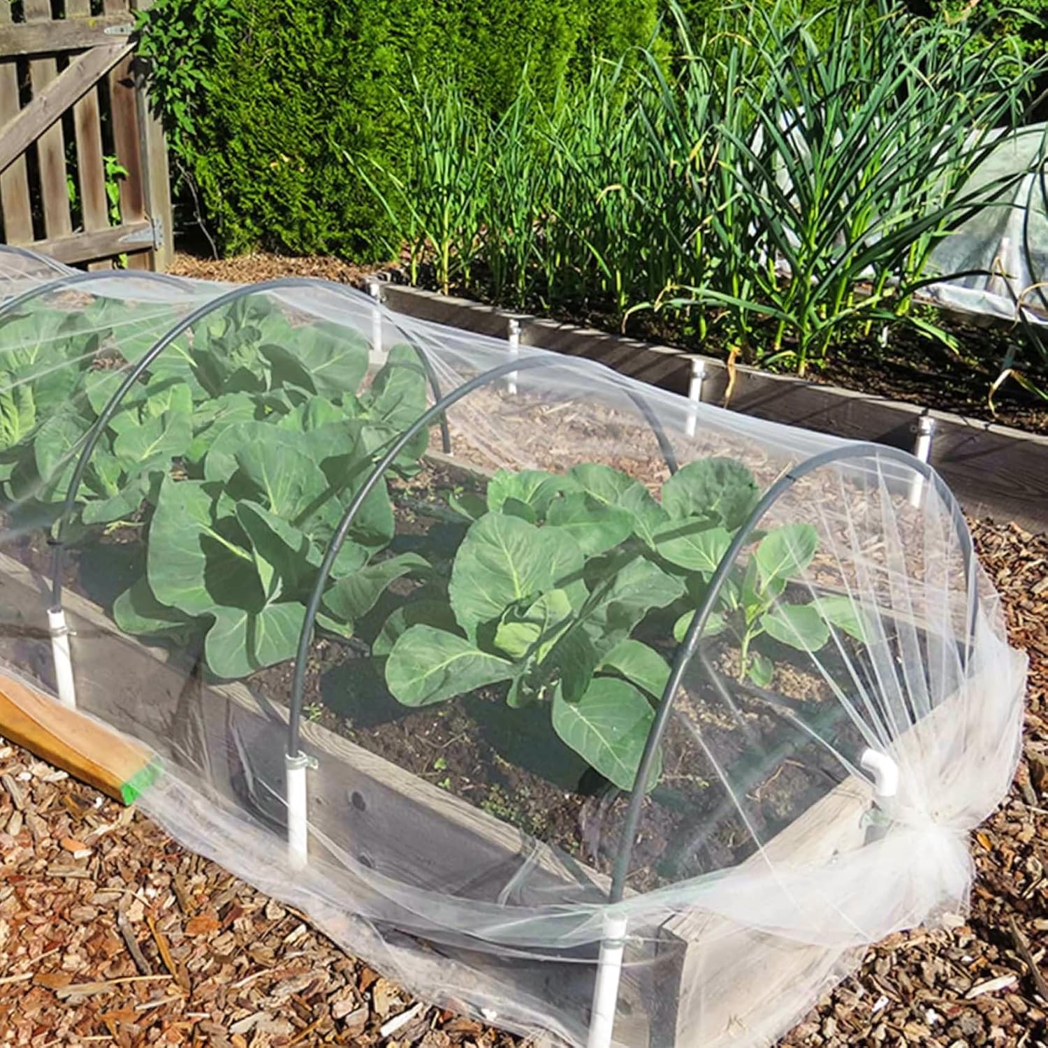 Summer Garden Must-Have ☀️ Bird & Insect Protection Net for Plants, Balconies & Patios